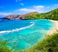 $318 Minneapolis to Honolulu