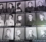Auschwitz Concentration Camp:  Now and Then